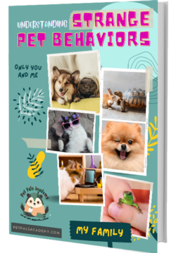 Understanding Strange Pet Behaviors: 30 Tips for Pet Owners – D. V. Knack