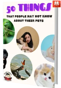50 things that people may not know about their pets